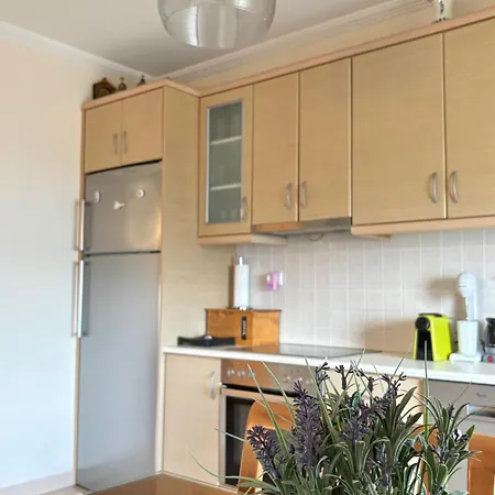 Odylia Sea View Apartment Nikiana